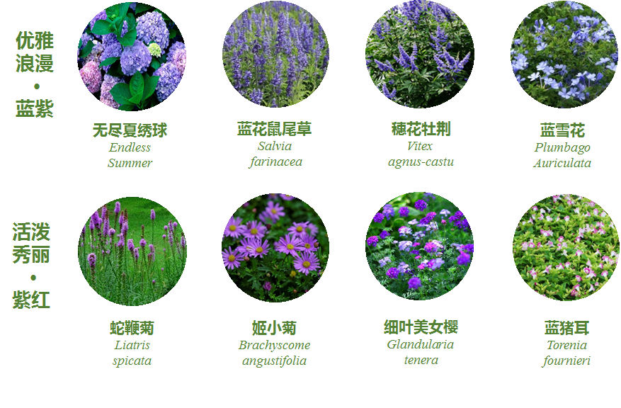 金地中心丨中国盐城丨LAURENT罗朗景观-85