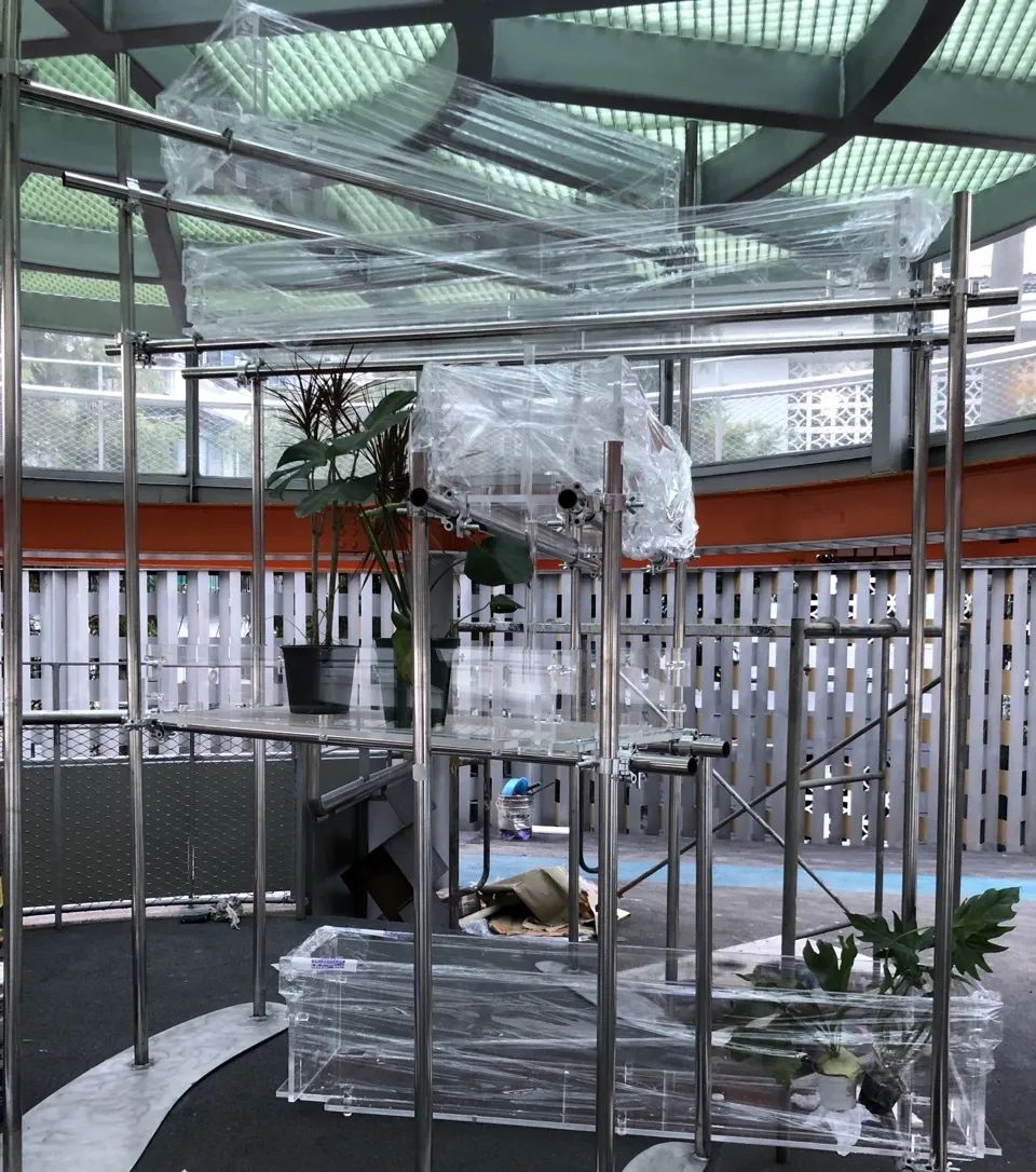 植物公寓 · 客厅里的生态艺术装置丨中国上海丨刘宇扬建筑事务所-38