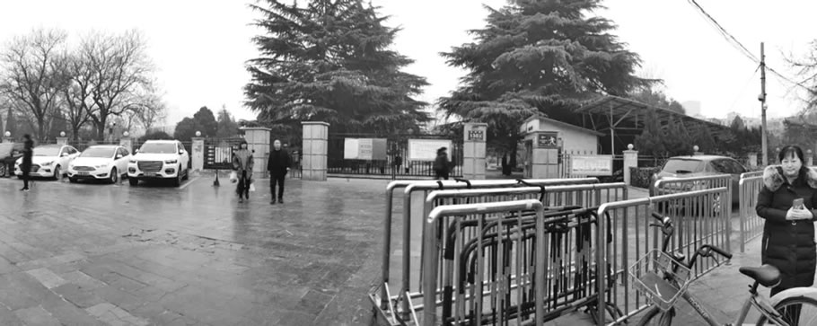 郑州人民公园“拆墙透绿”打造城园一体空间丨中国郑州-36