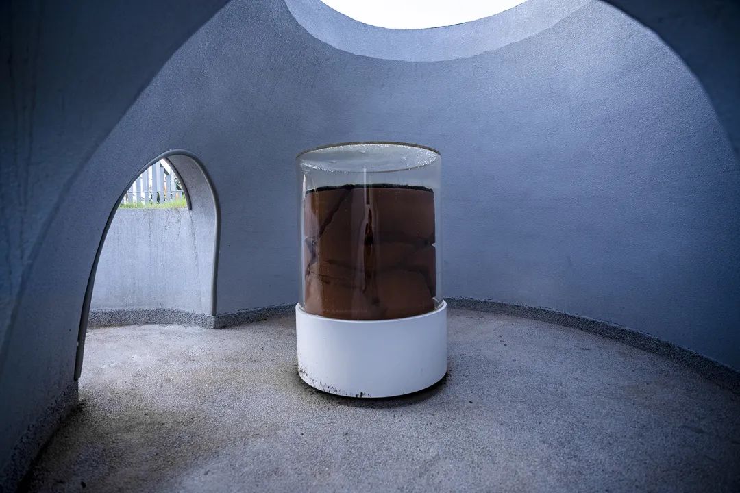 阿飞森林主题乐园 | 种子生长之旅的室内设计亮点-20