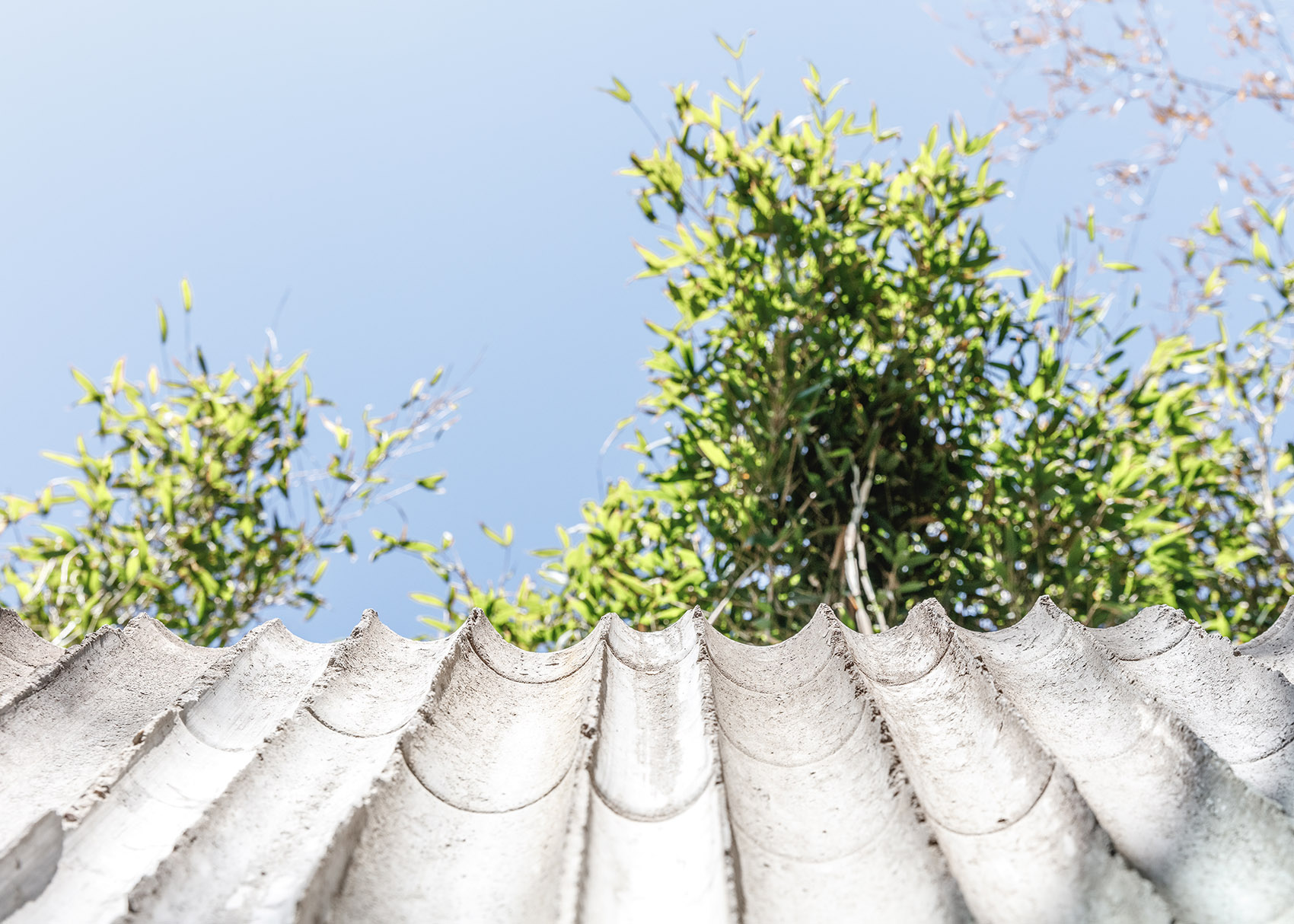 哥本哈根动物园熊猫馆，丹麦 / BIG-40