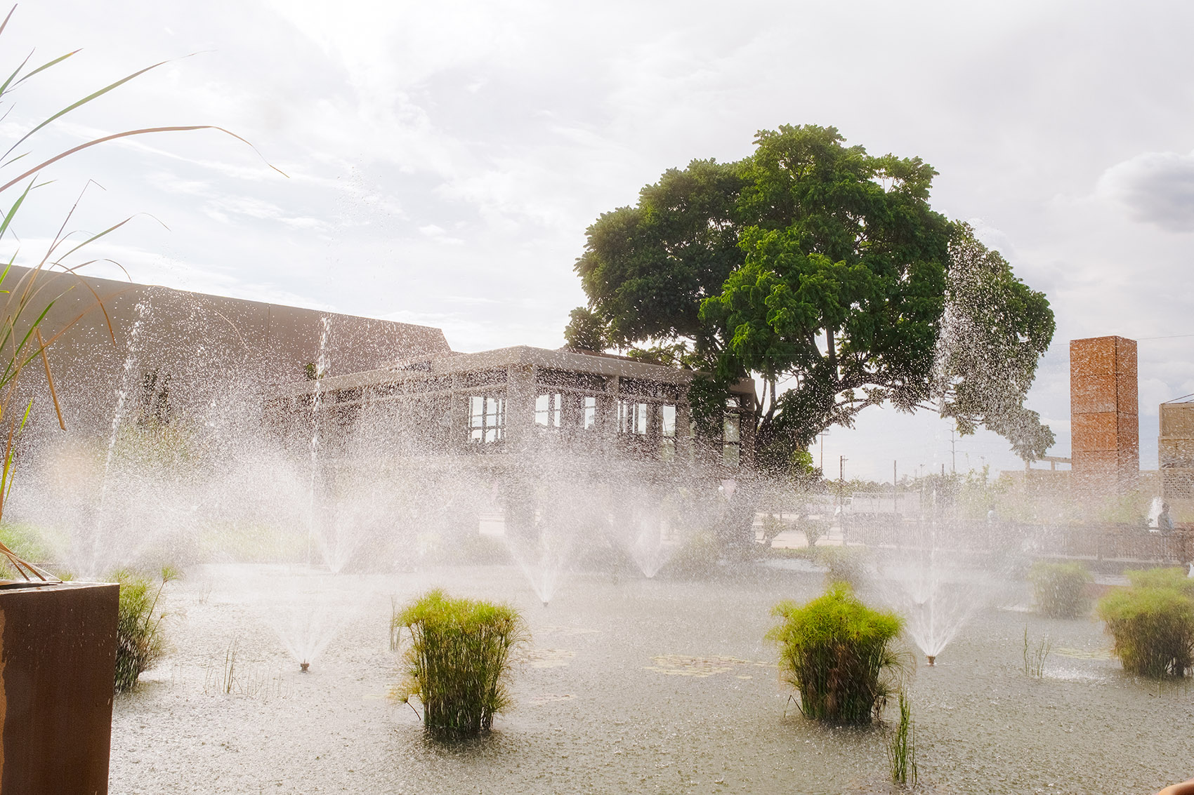 Parque Primavera Oaxaqueña Cho Ndobá城市更新丨墨西哥丨RootStudio-45