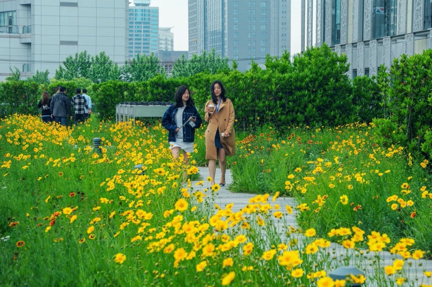 上海创新聚集地 | 天地区域 1 号-9