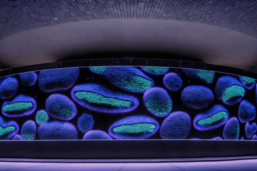 细胞内的生活-7