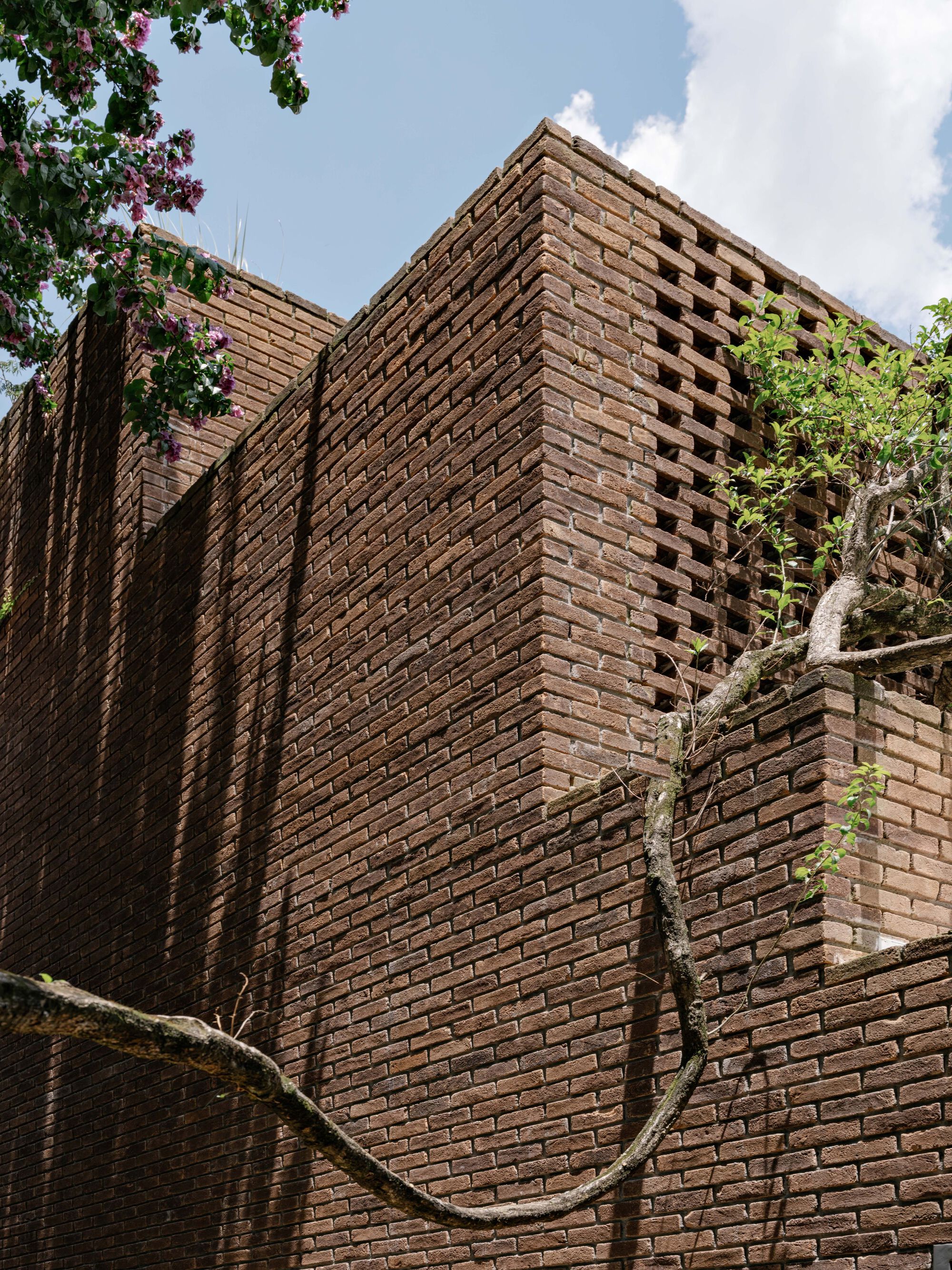 丨巴西圣保罗丨Felipe Hess Arquitetos-35