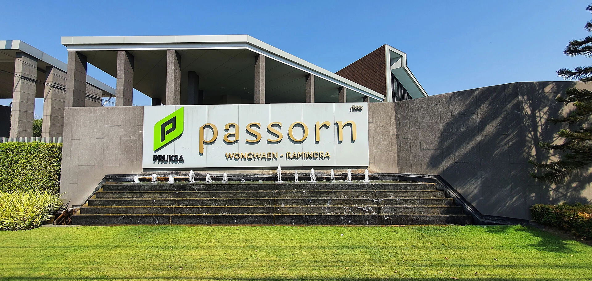 植物精英和帕森-30