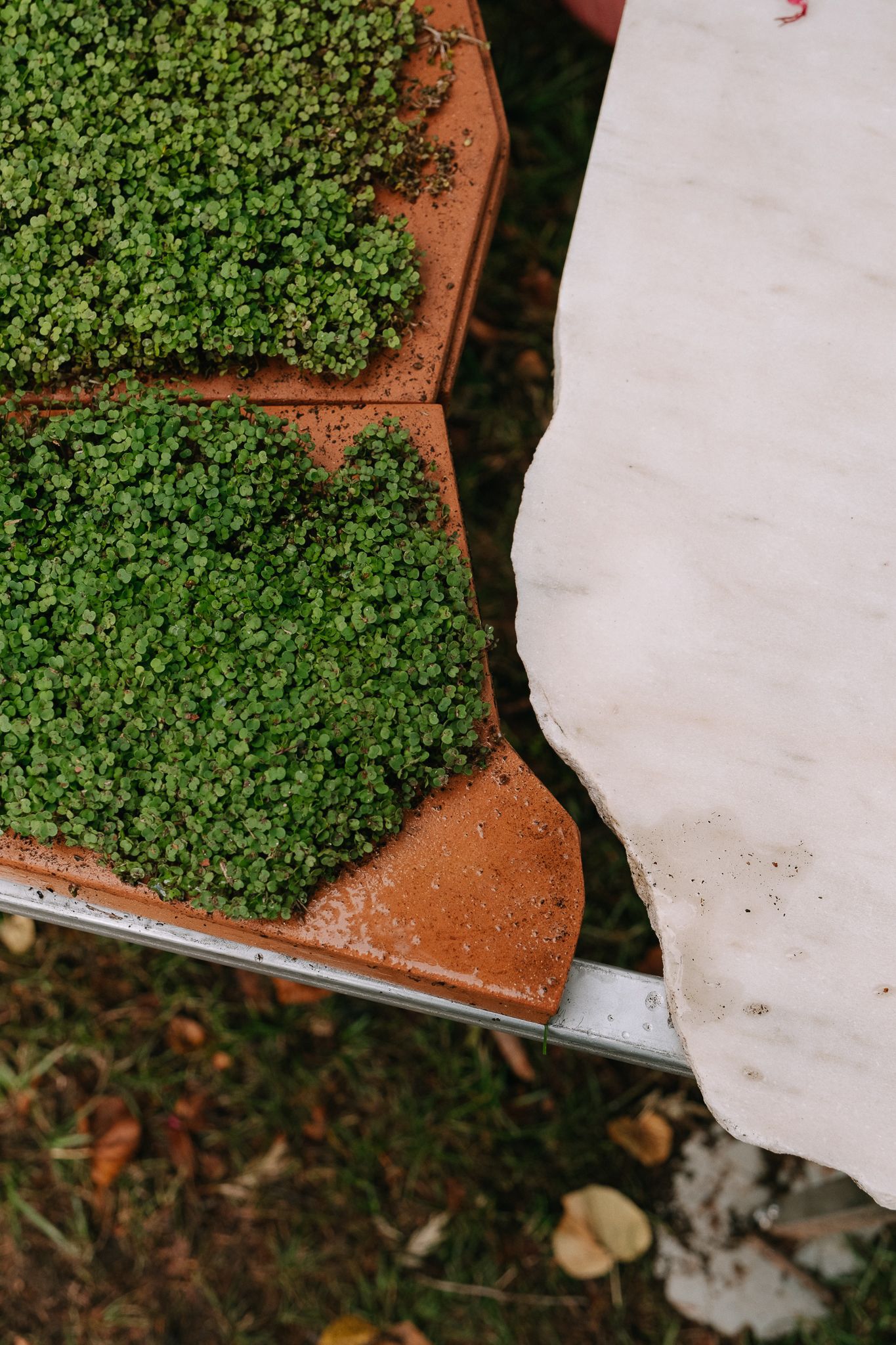 活体多物种厨房丨葡萄牙波尔图丨Fahrenheit Works-35