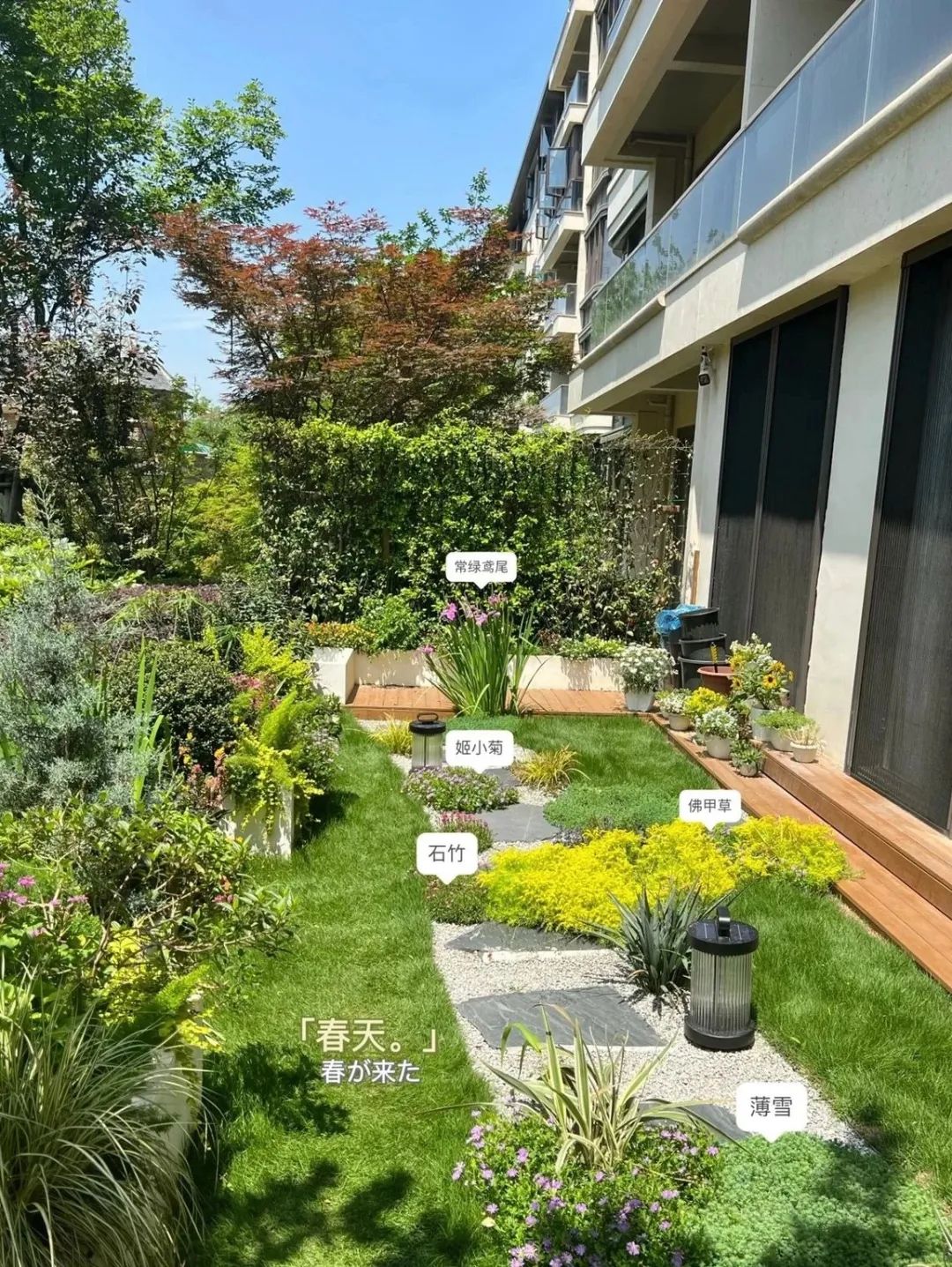 一楼院子大变身,打造浪漫法式梦幻花园丨中国重庆丨上海东町景观设计-31