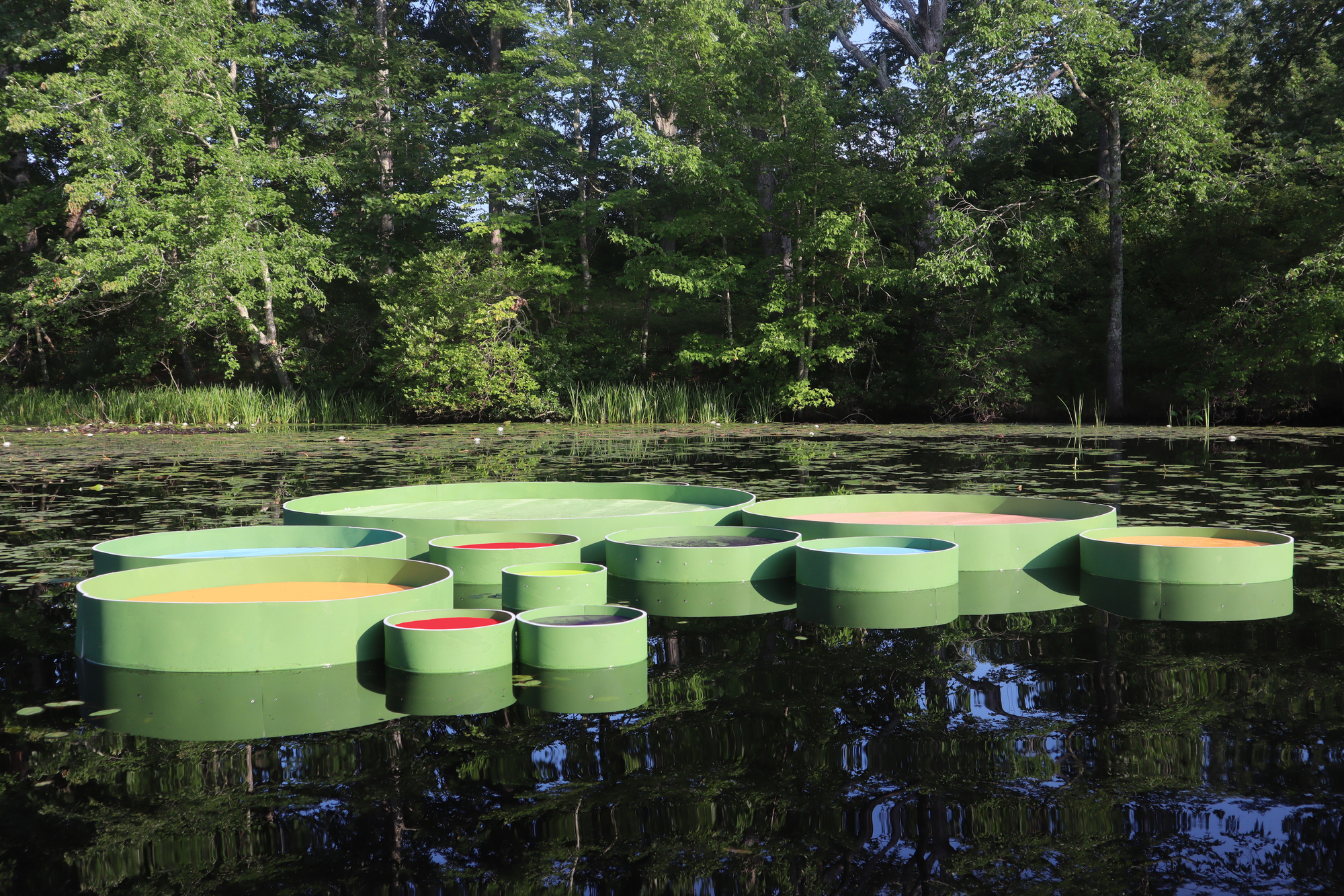 百合项目丨美国丨Jaemee Studio-8