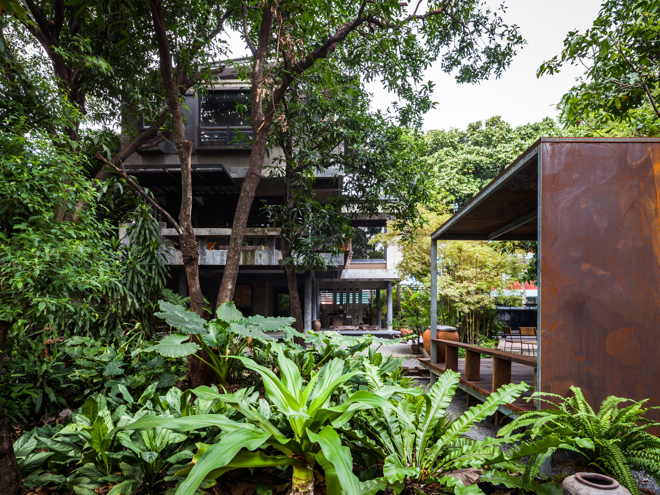 Mango Tree House  Volume Matrix Studio-34