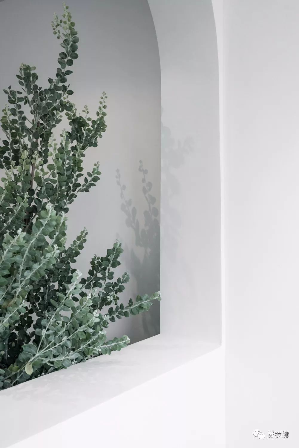 壹舍EASE——在繁华的“老广州”，寻找一份宁静与安逸 | 费罗娜-37