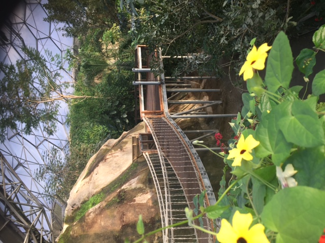 创意户外空间 | 2016 年建成的伊甸园项目-13