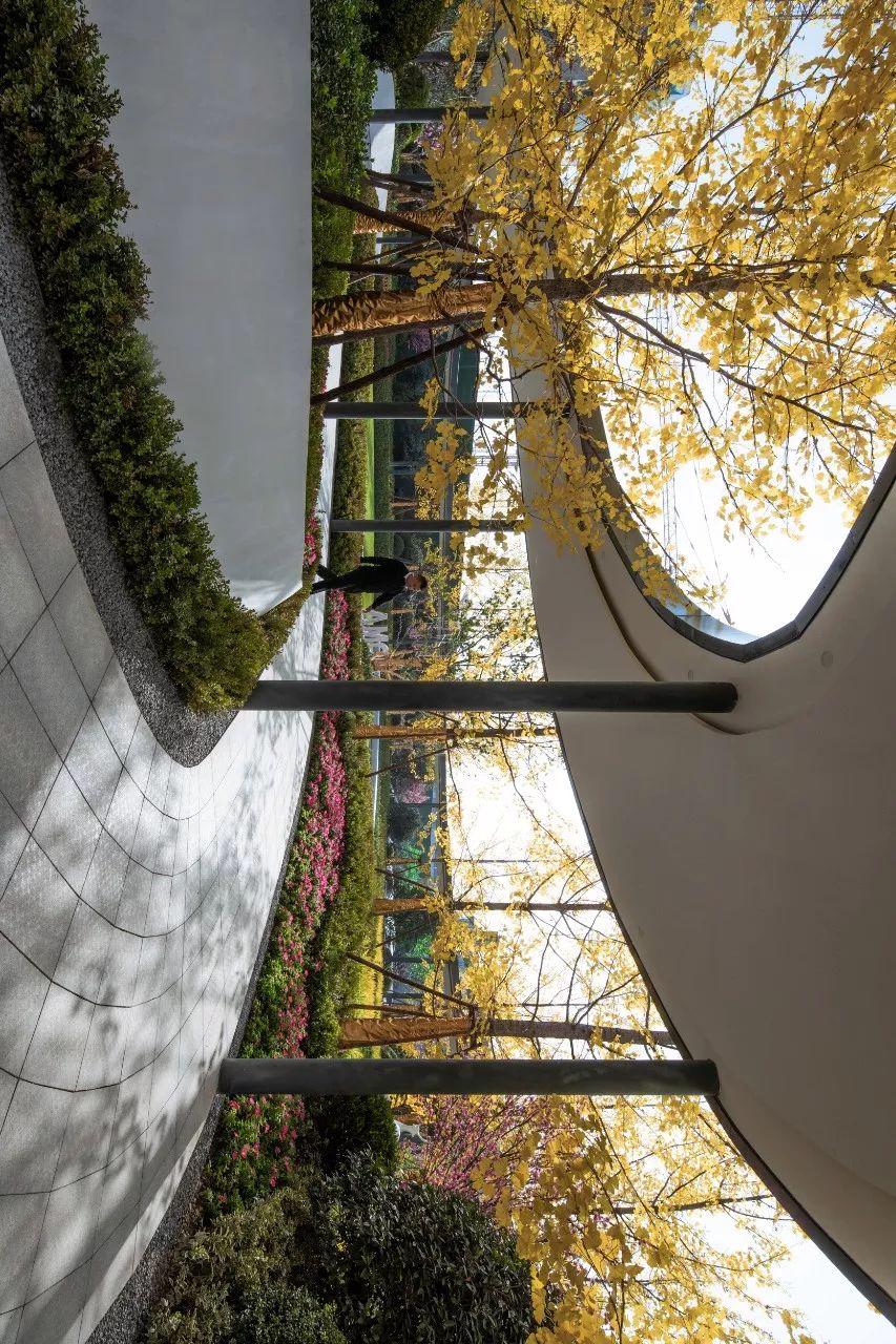 菏泽当代城 MOMΛ | 逐水溯梦的栖居空间-8