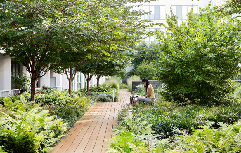 
          Austin Nichols Warehouse & Waterfront - SCAPE      -0