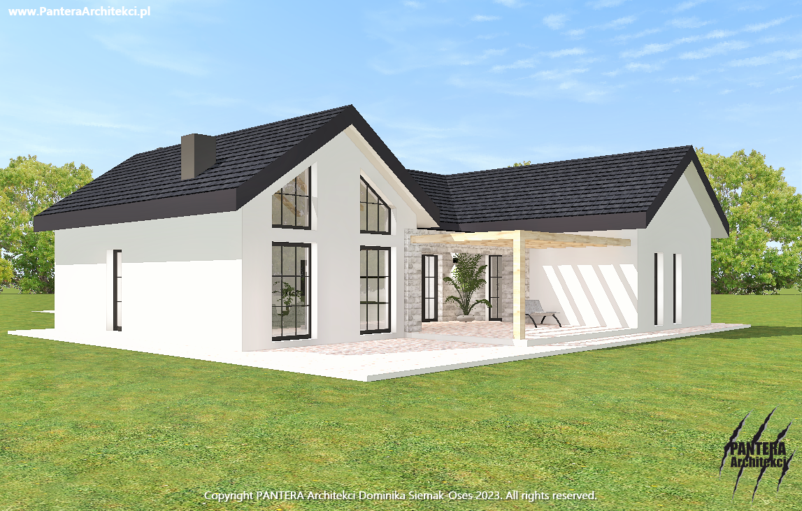 独栋家庭住宅外立面建筑变体设计丨PANTERA Architekci(多米尼卡·谢马克 奥塞斯)-6