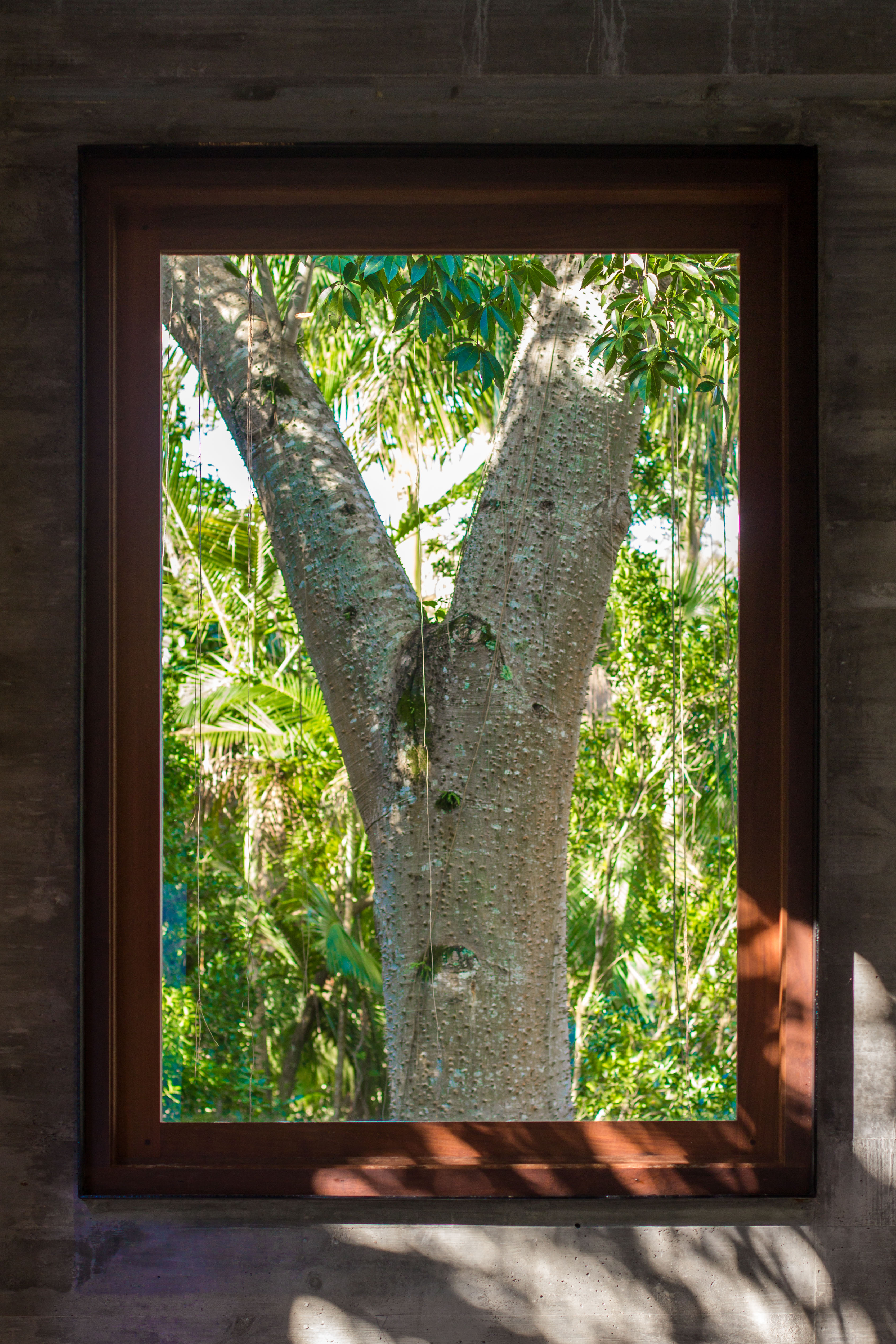 巴西家庭度假屋 | 森林中的舒适休闲空间-26