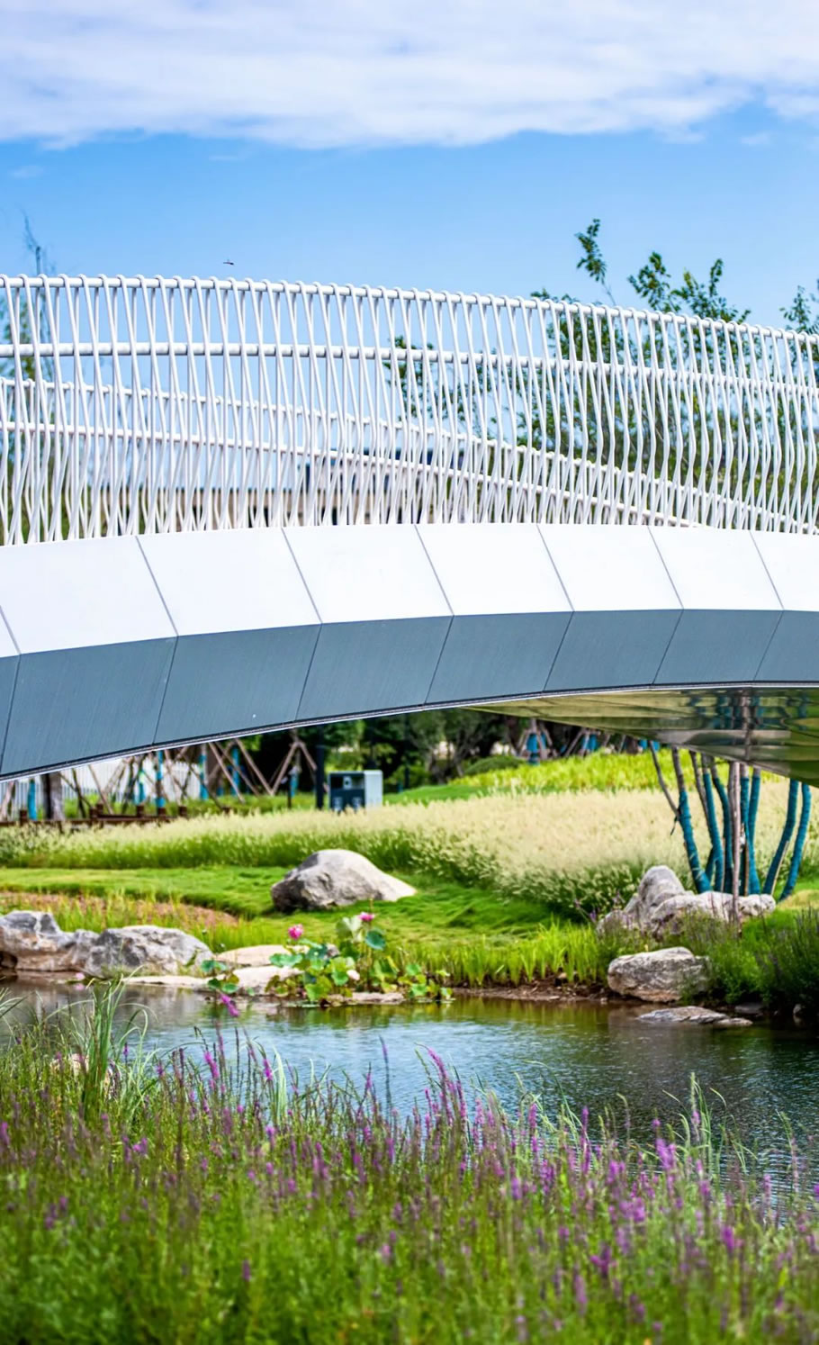 枣庄高新区人才公园设计丨中国枣庄丨同圆设计集团股份有限公司-14