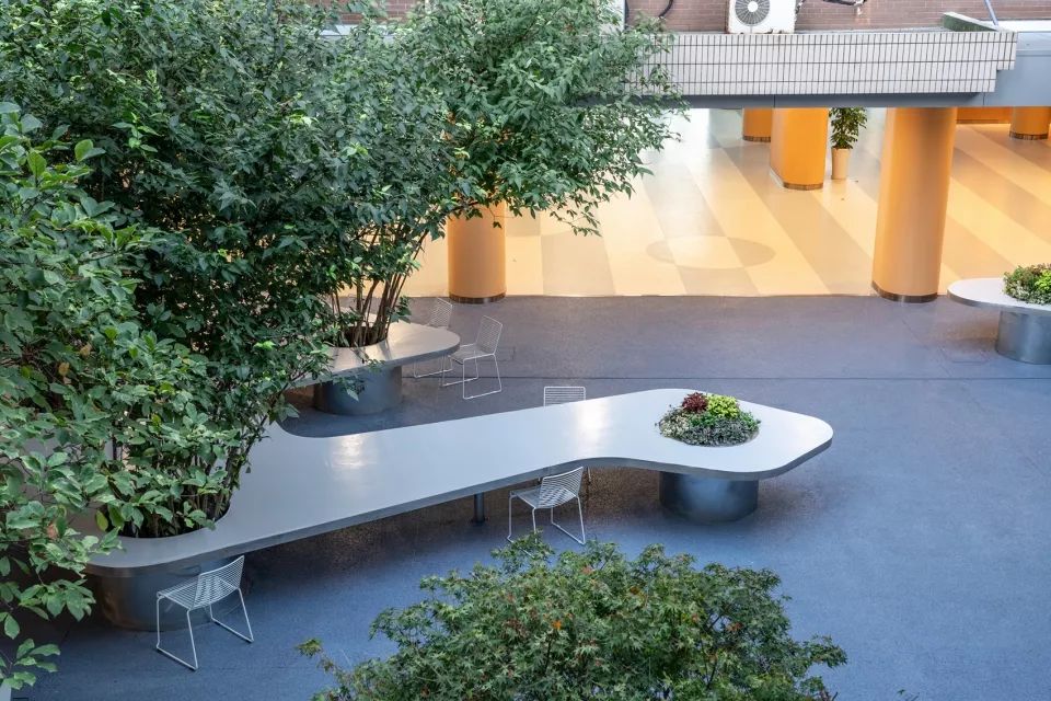 上海市实验学校中心庭院改造丨大观(上海大观景观设计有限公司)-16