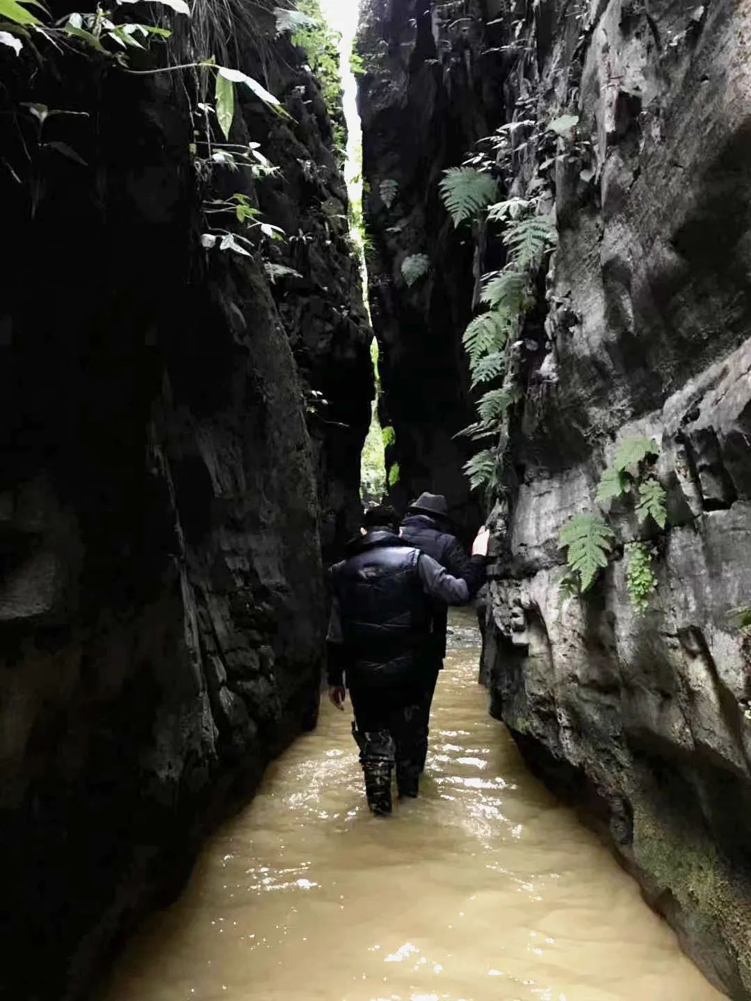 小十二秘境·方舟丨中国遵义丨Wutopia Lab-9