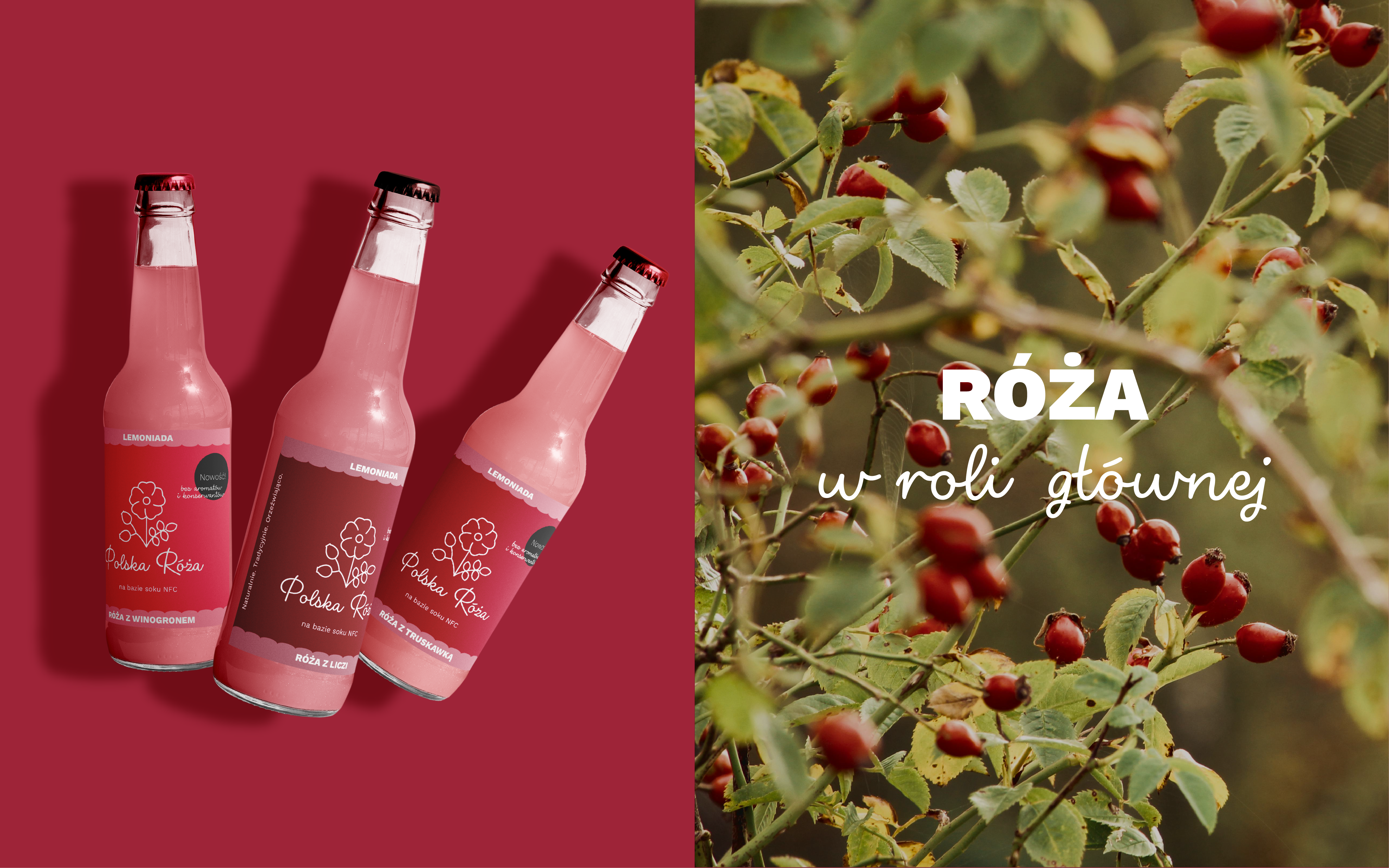 Rose lemonades - Visual Identity Redesign-5