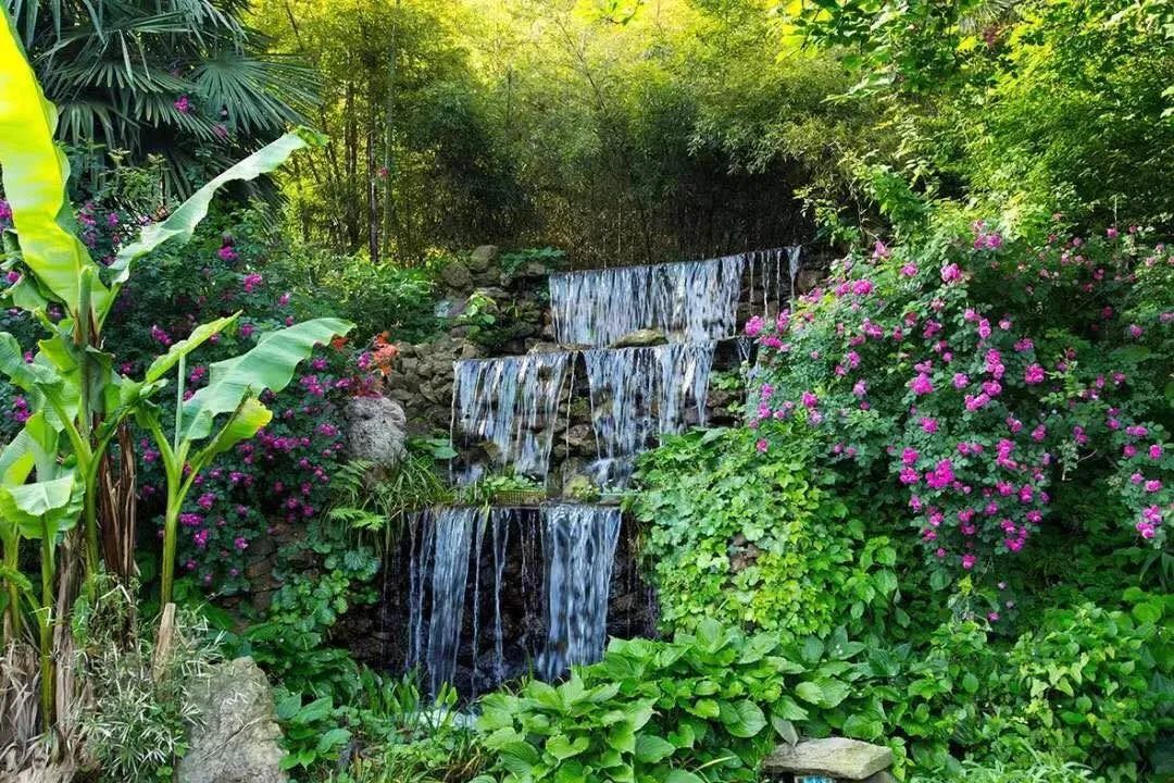 三棵树庄园 | 摄影家的心灵秘境-54