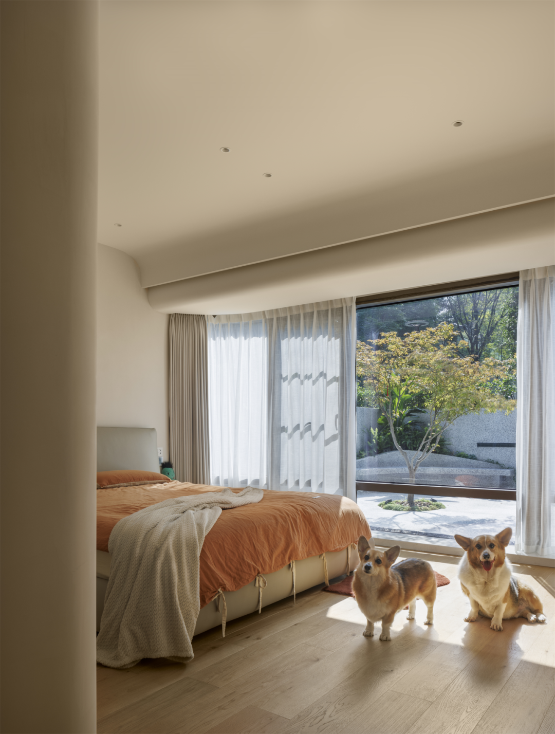 汪星人科科和臭臭的亲密无间家园丨中国重庆丨重庆微观室内设计有限公司-33