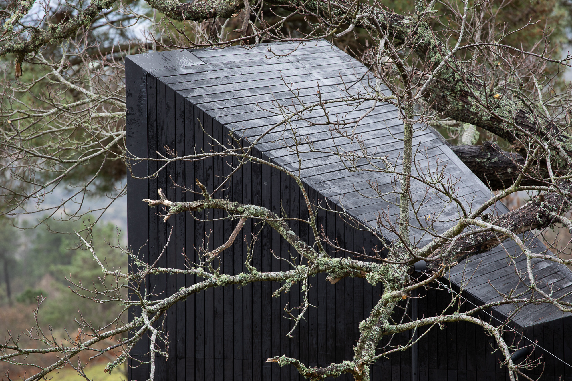 栗树屋丨葡萄牙丨João Mendes Ribeiro-47