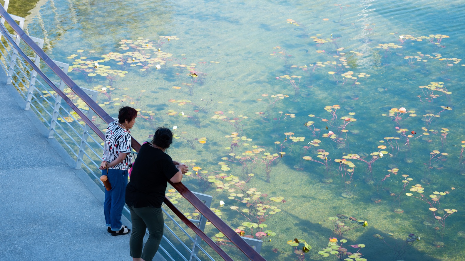 包头中央公园-27