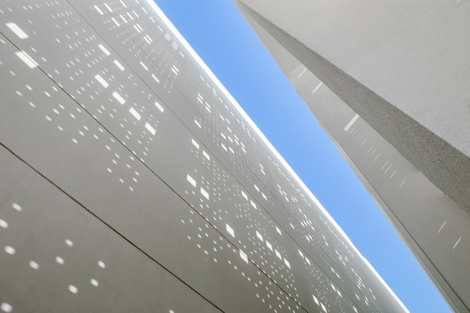 The British School  Morphogenesis-43