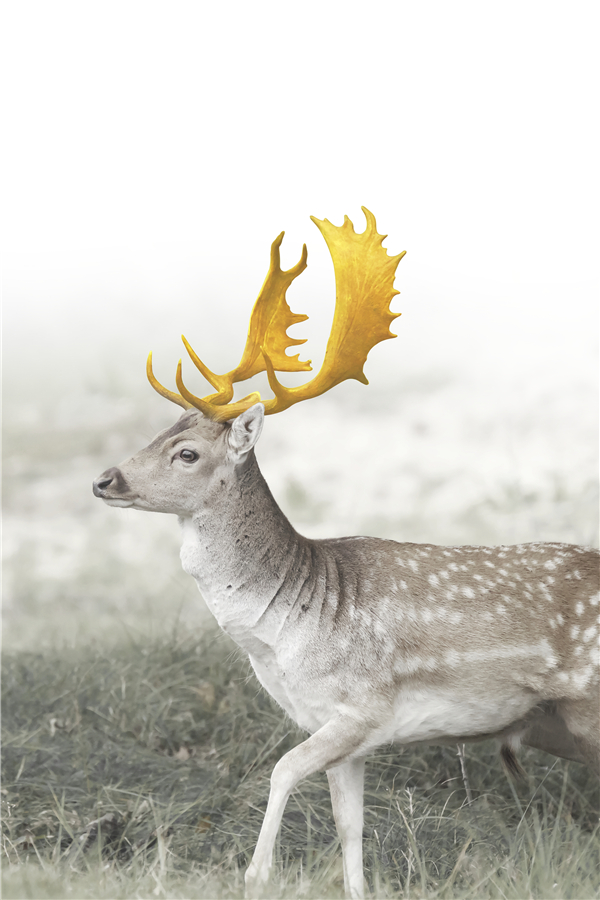 轻奢风 三联组合软装挂画-20