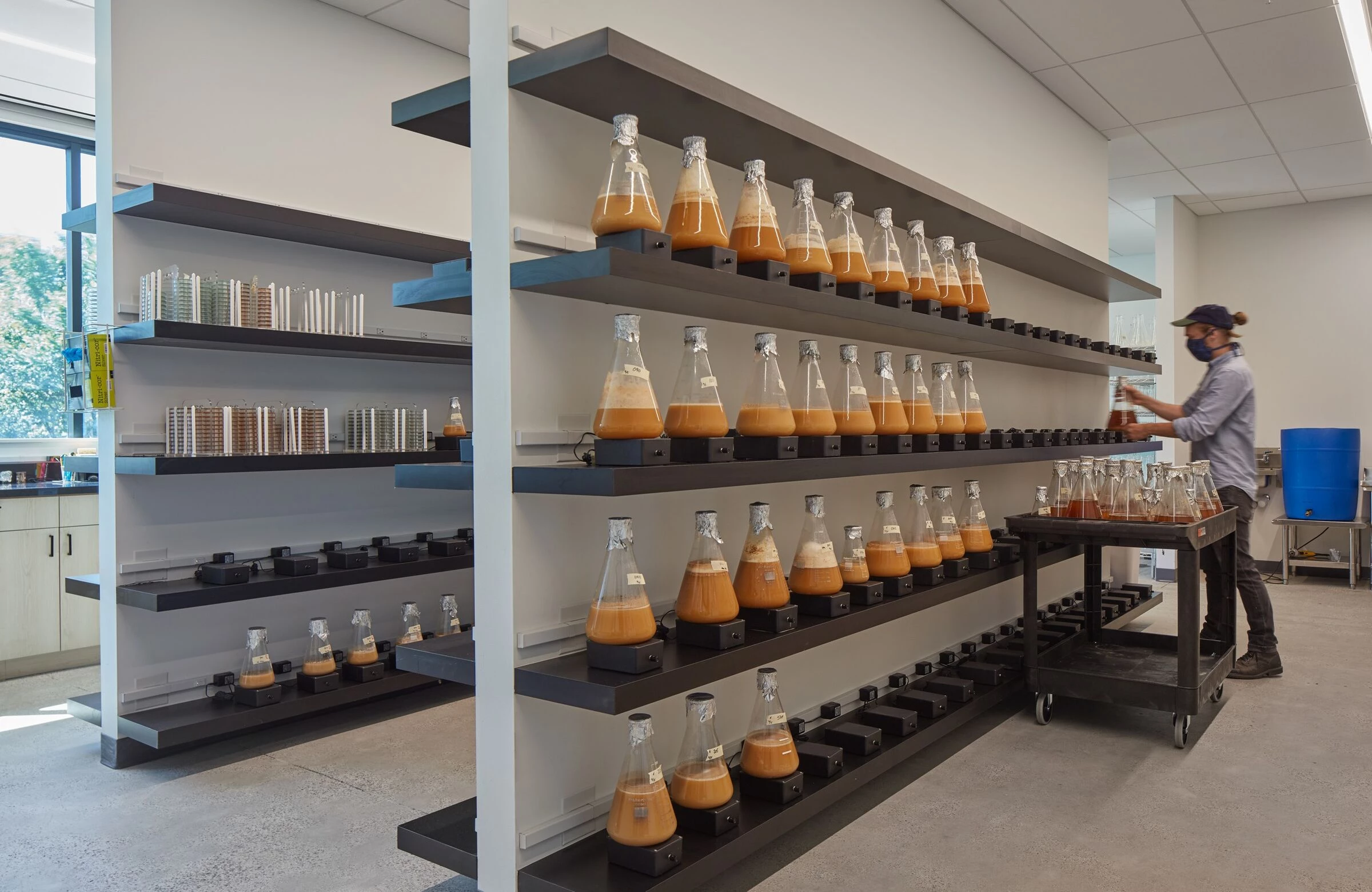 欧米茄酵母丨美国芝加哥丨Valerio Dewalt Train-19