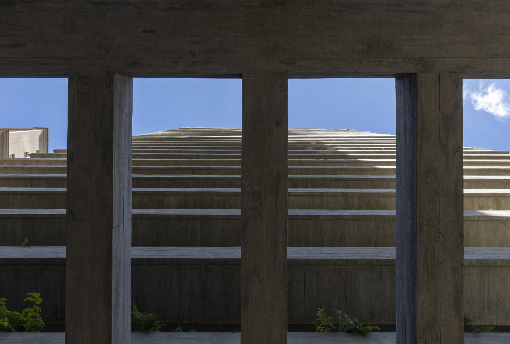 Leopoldo 1201 住宅大楼丨巴西圣保罗丨aflalo,gasperini arquitetos-44