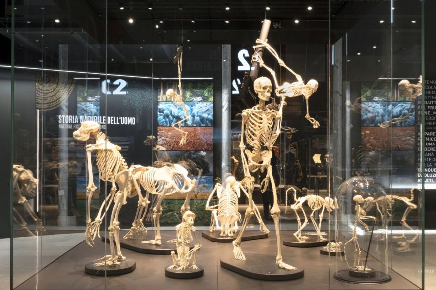 米兰自然故事博物馆(第九展厅)丨意大利米兰丨意大利 Migliore Servetto 设计工作室-4