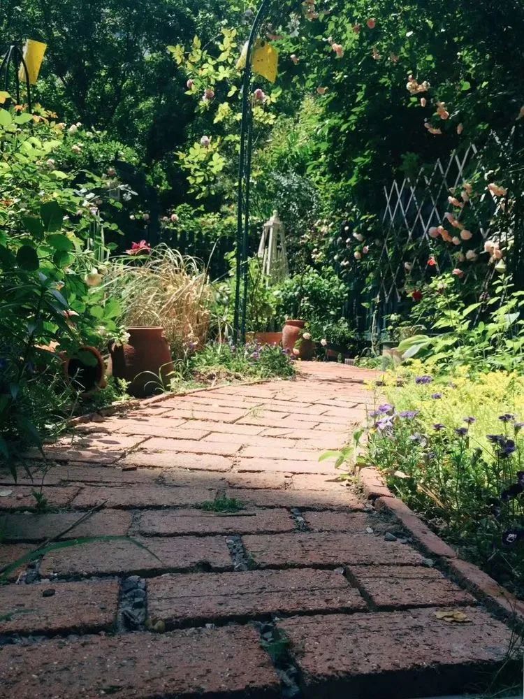 90后夫妻用4年时间，在魔都造了60平米花园，遛狗逗猫，好不惬意~-35