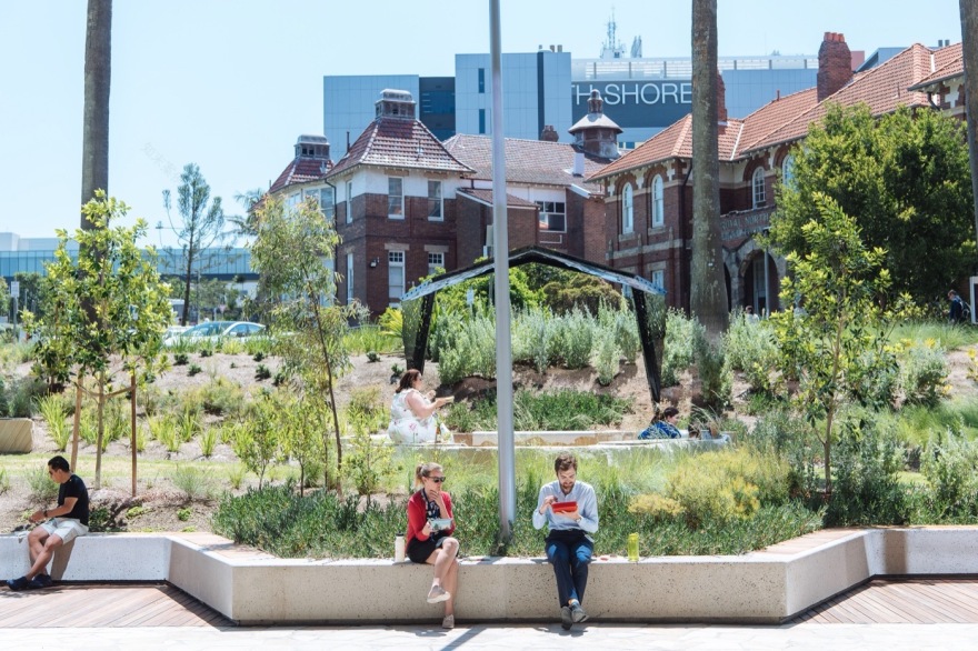 悉尼 St Leonards 健康组织迁址丨澳大利亚悉尼丨Arcadia Landscape Architecture-4