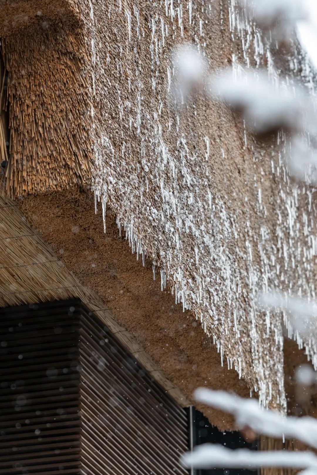 乌克兰 Shkrub 住宅丨Serhii Makhno-66