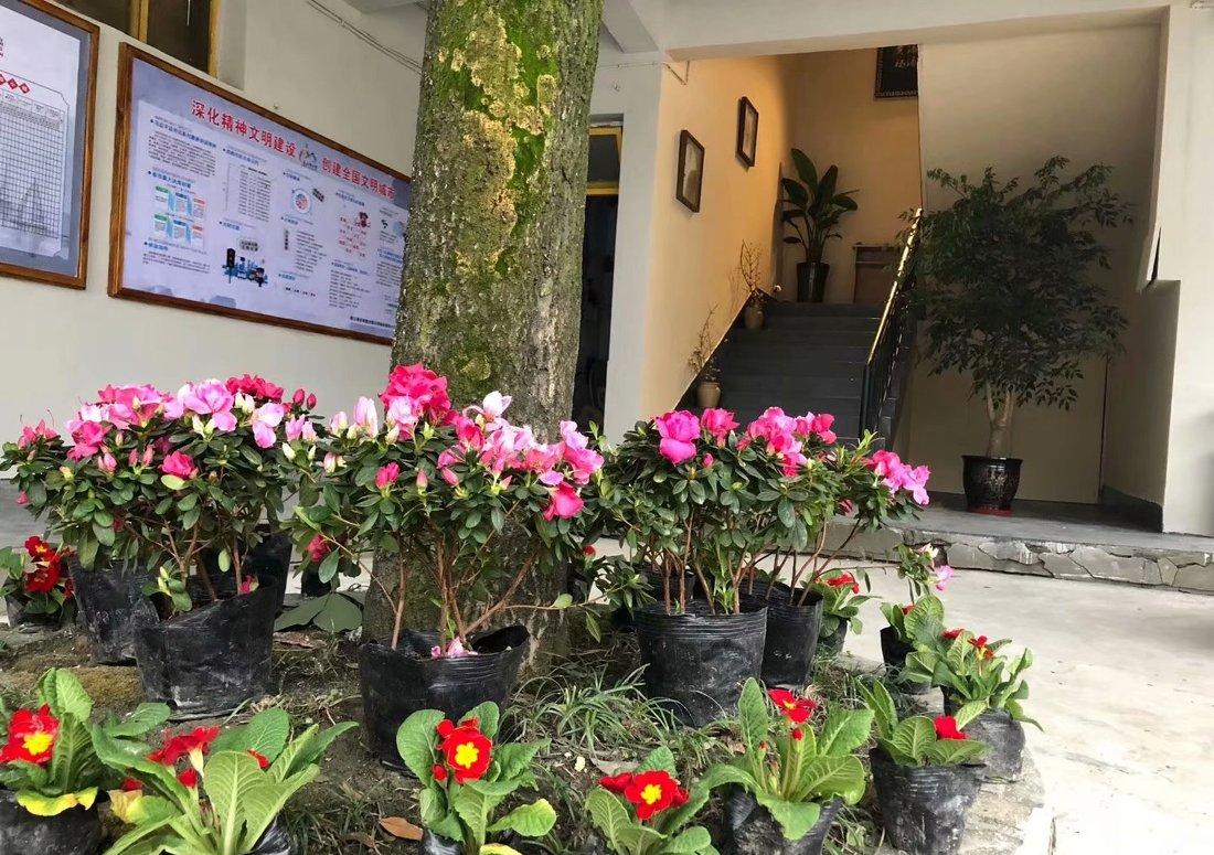 
都江堰 I 胥家镇政府亲民化改造 -8