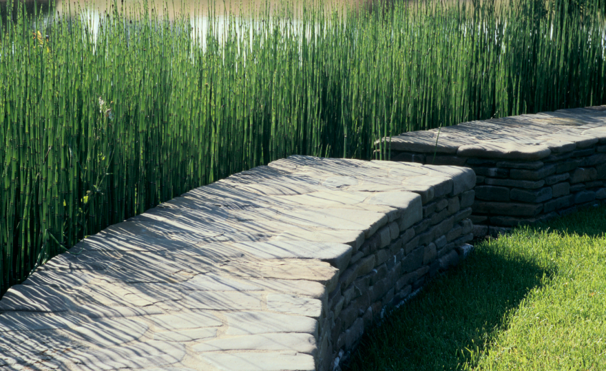 麦康奈尔基金会丨美国加利福尼亚丨NBBJ(西雅图)-13