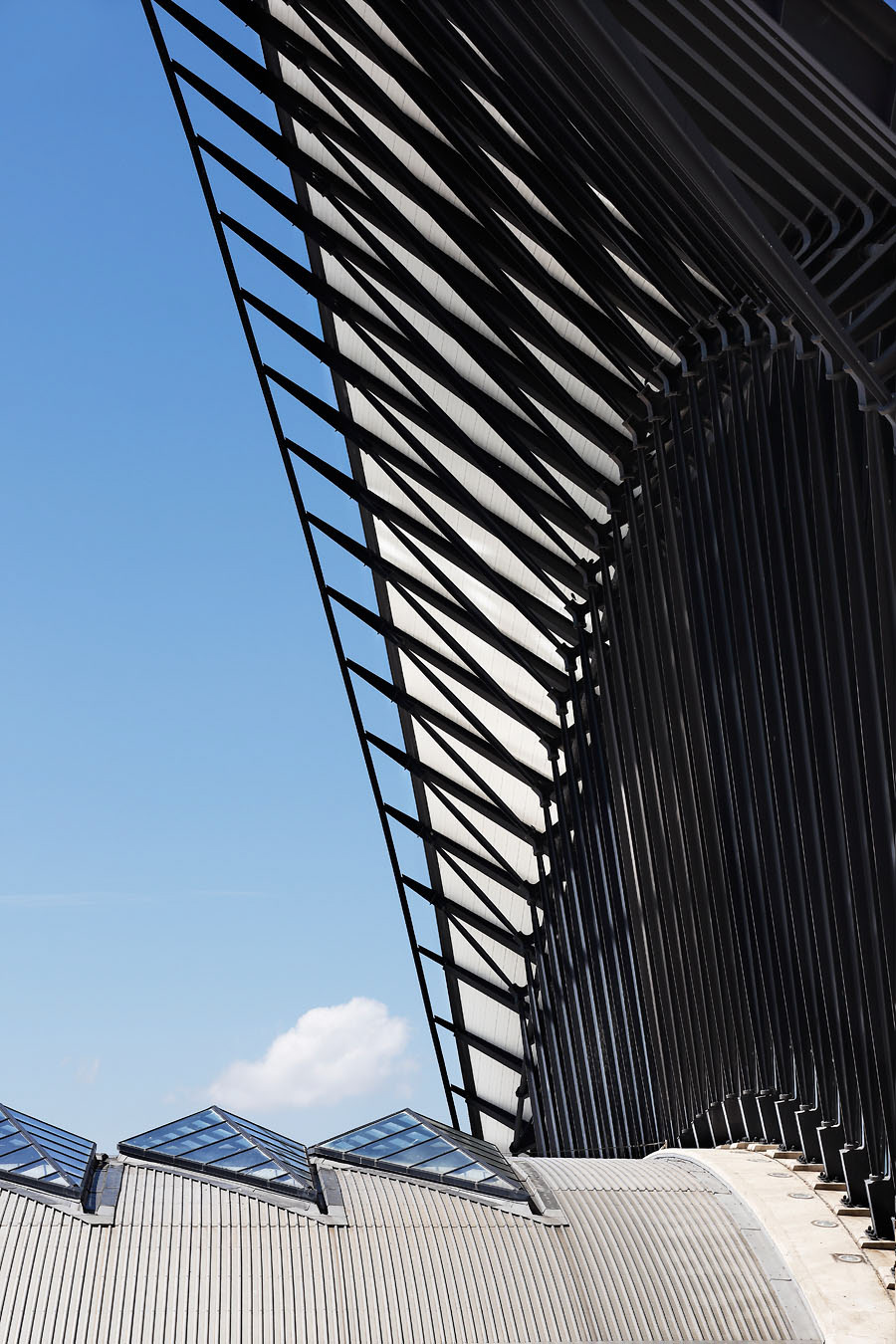 圣埃克苏佩里站丨法国里昂丨Santiago Calatrava-33