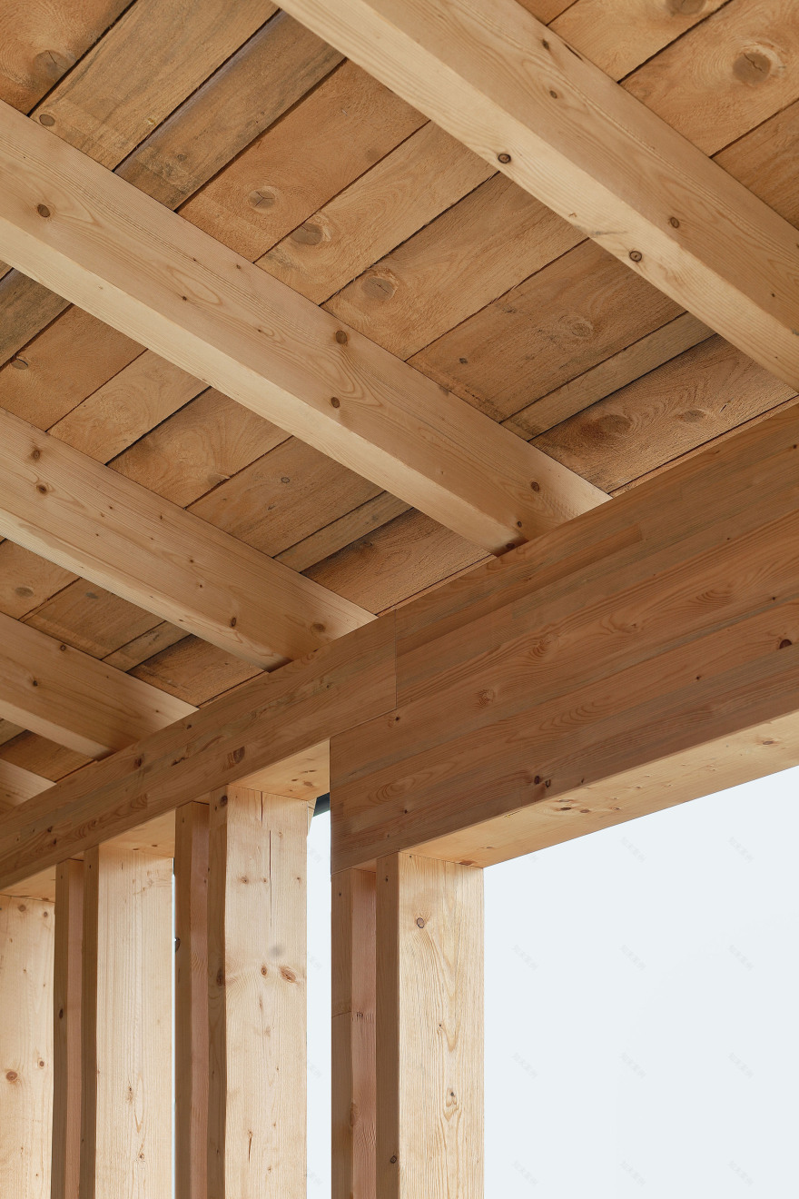 房子 SF 或 众议院 SF (具体需根据上下文确定)丨奥地利丨Moser und Hager Architekten-28