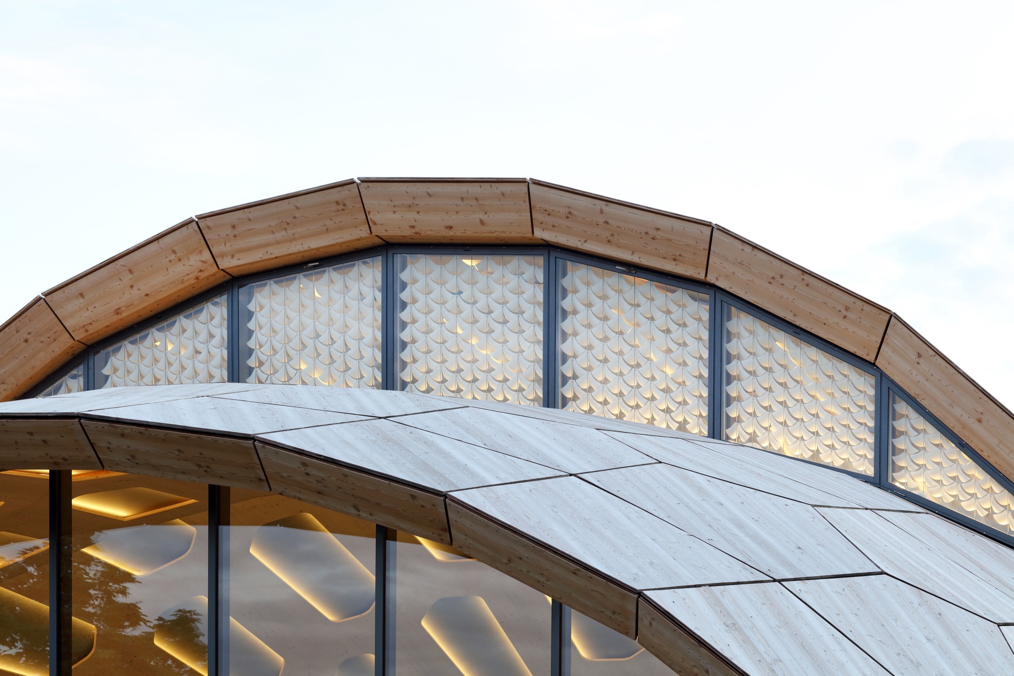 livMATS 仿生壳丨德国丨ICD,ITKE University of Stuttgart-10