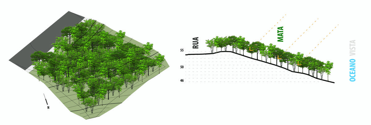 托尼尼亚斯之家丨巴西丨24 7 Arquitetura-42