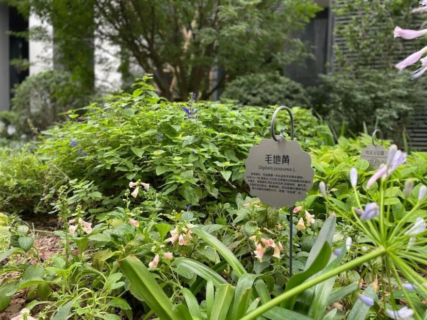 西里丨成都万华麓湖生态城·沄洲-15