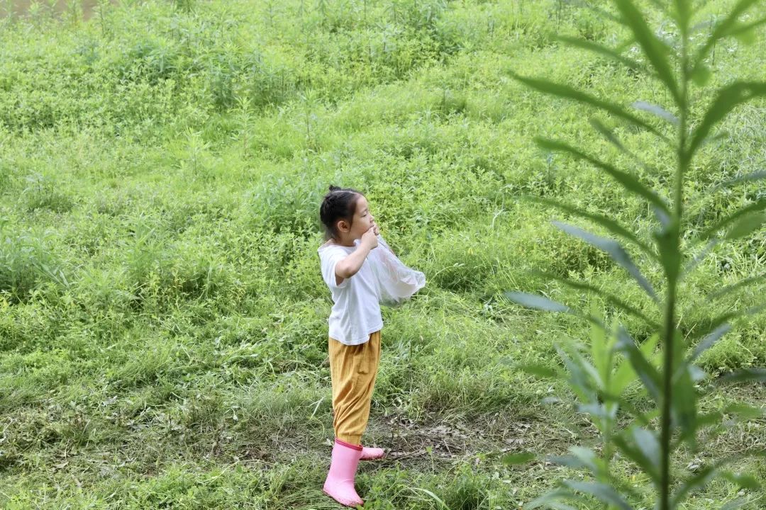 山高水长,农庄诗意的栖居-21