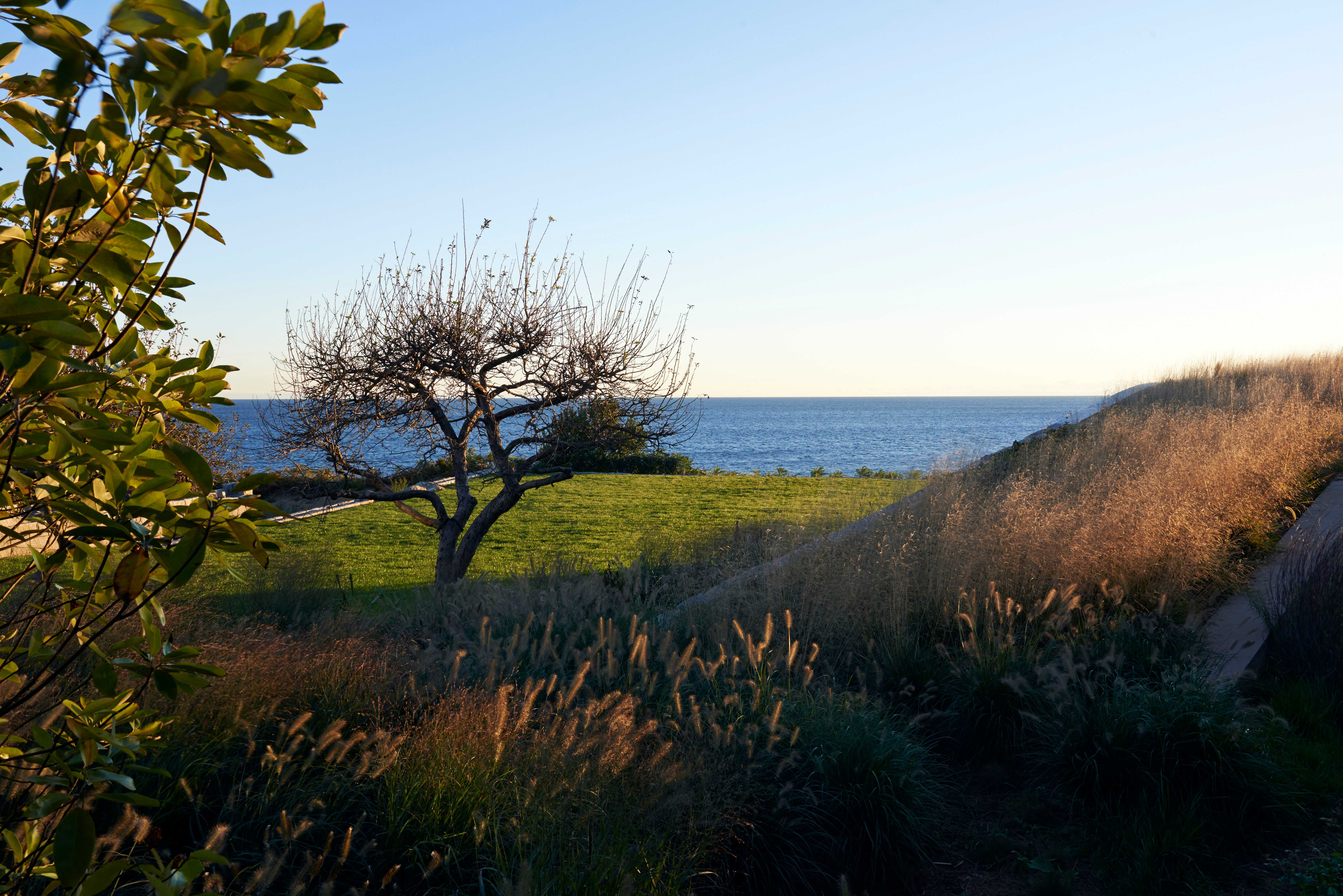悬崖之上的绿色泳池住宅-9