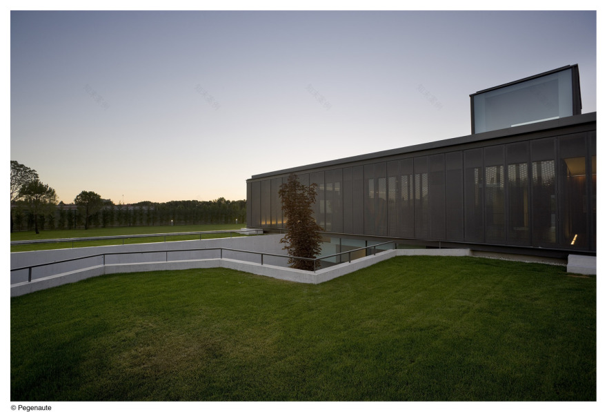 Domínguez House 过滤式花园设计-43