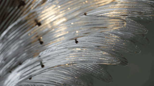 中海·丽金府会所丨中国北京丨硬装壹方设计,软装北京山禾金缘艺术设计股份有限公司-46