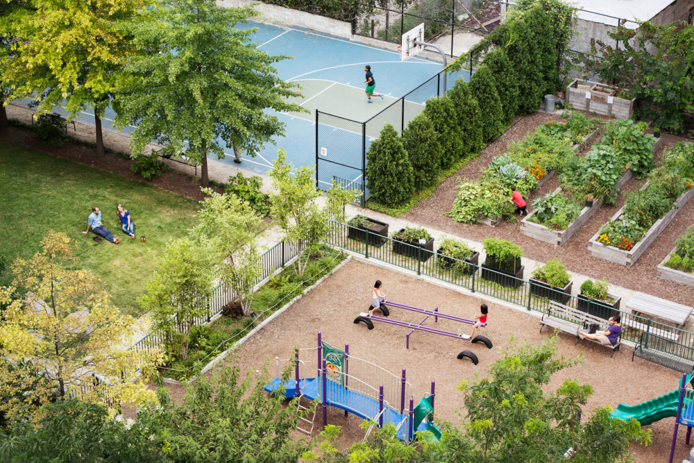 
          103rd Street Community Garden - SCAPE      -3