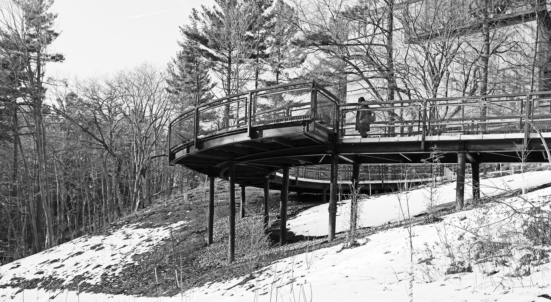 UofT - scarborough-6