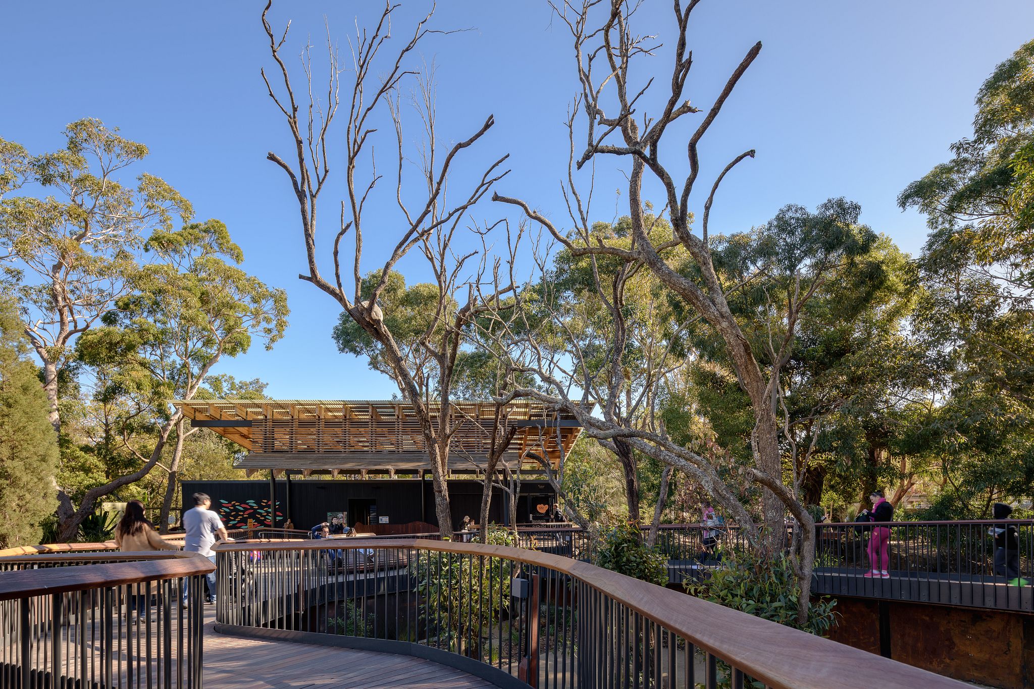 丨澳大利亚新南威尔士丨Lahz Nimmo Architects-9